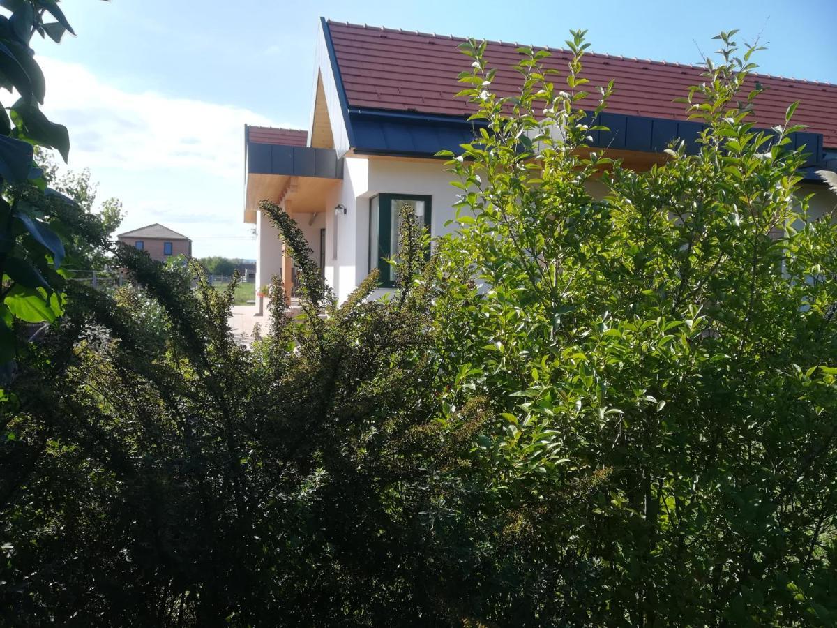 Ferienwohnung Edina Vendeghaz-Gyenesdiás Exterior foto